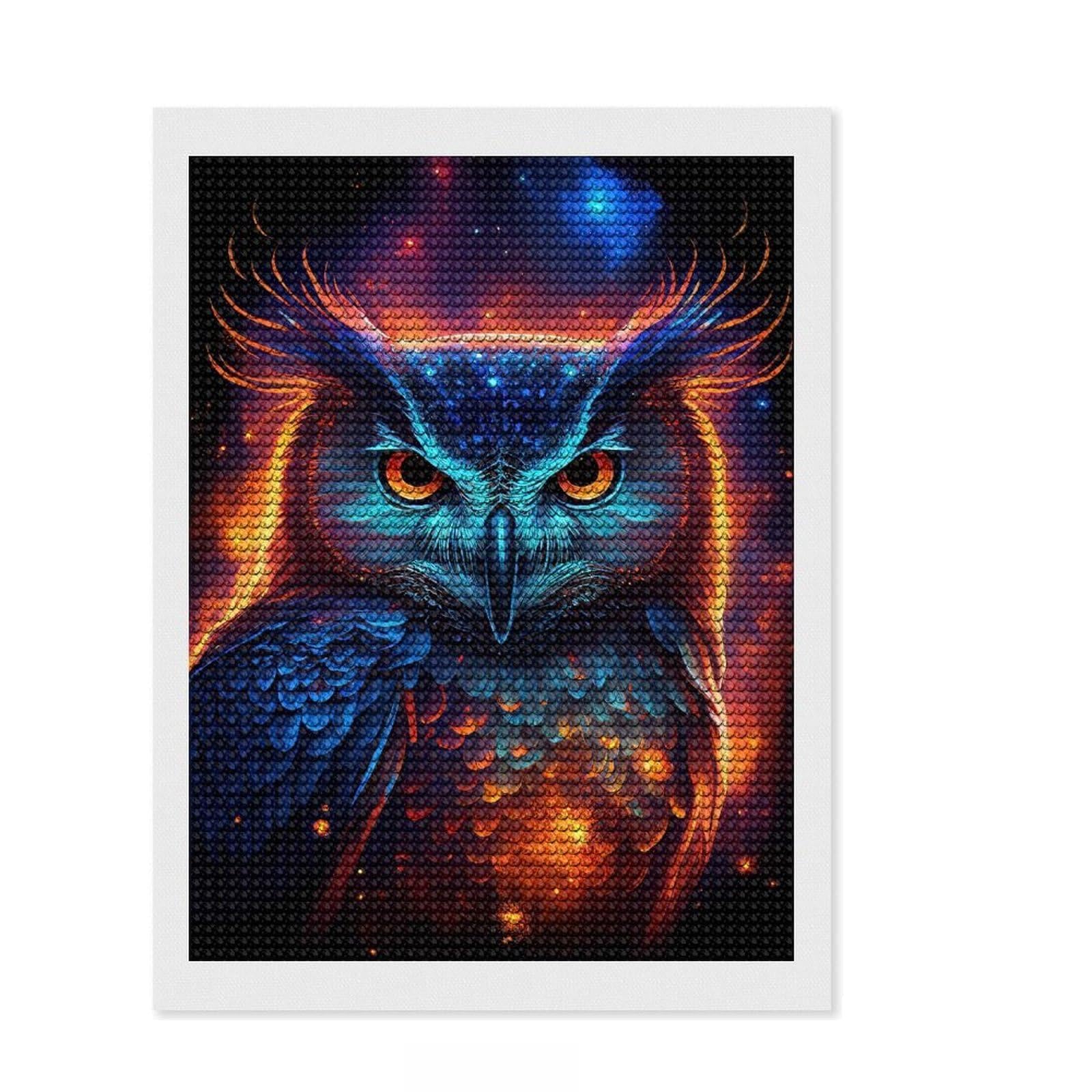 Junmoney Nebula Owl V4 Diamond Painting Canvas Set 12"x16", Relaxing DIY Hobby, Living Room Decor, for Teens, Holiday Gift Idea