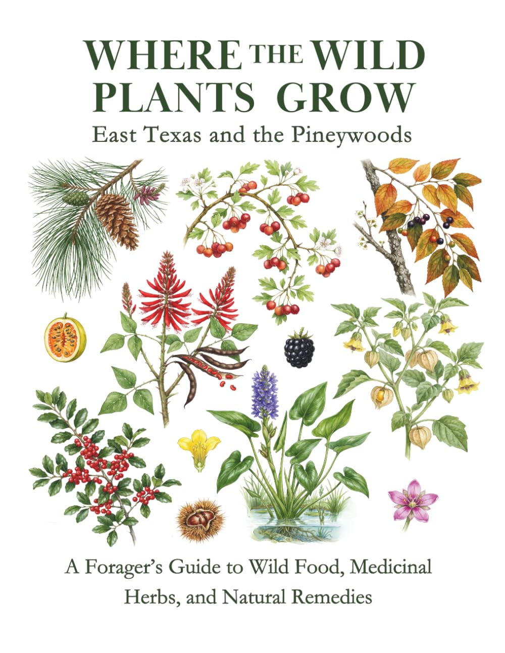 East Texas and the Pineywoods: A Forager’s Guide to Wild Food, Medicinal Herbs, and Natural Remedies (Where the Wild Plants Grow: Illustrated Foraging Guides)