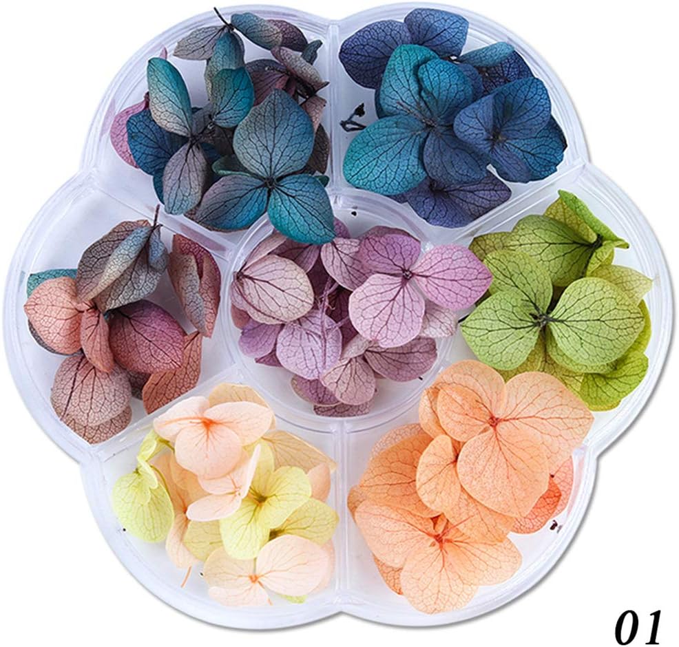 Gjyia Dried Flowers DIY Epoxy Resin Handmade Crafts Filling Materials