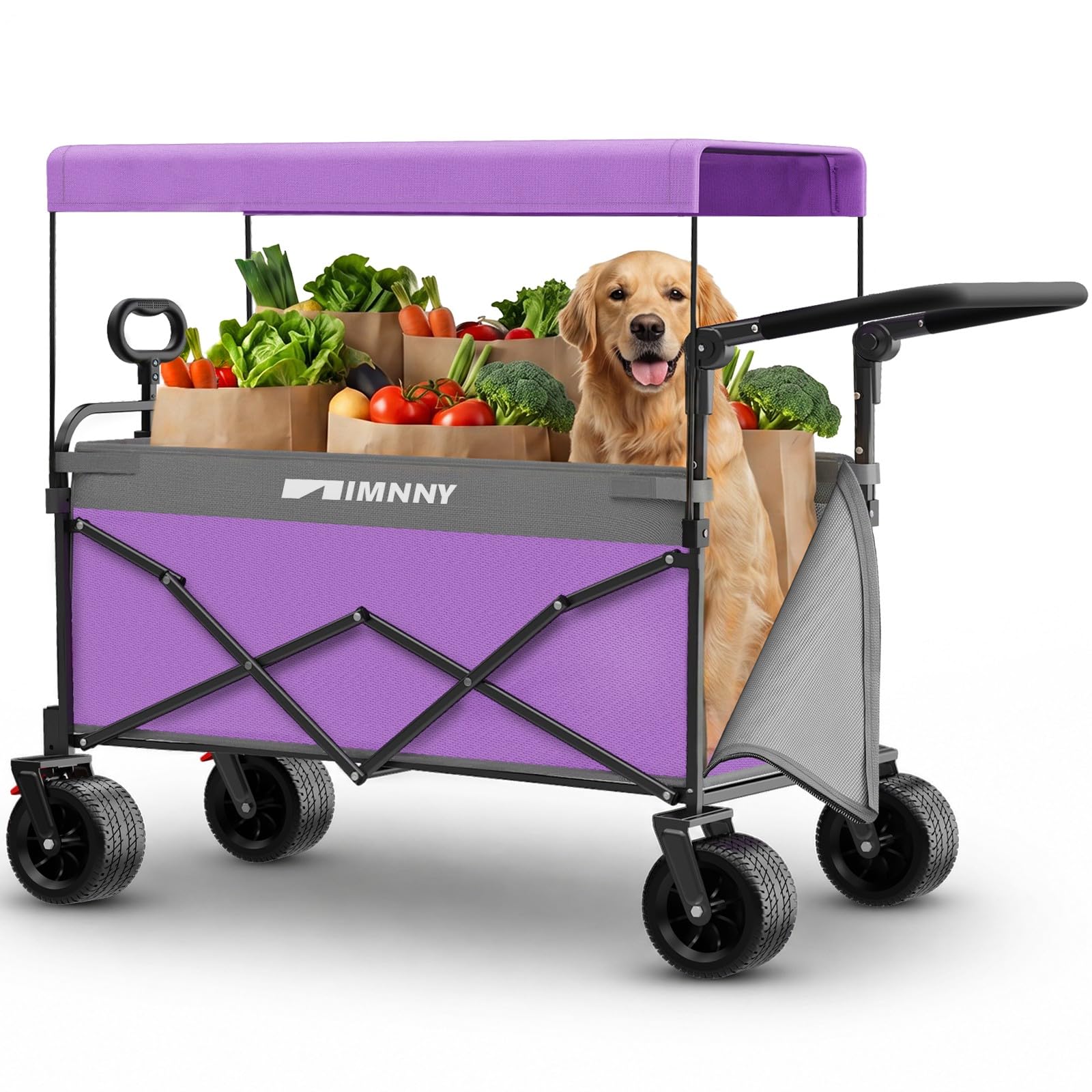 Chariot pliable avec couvercle violet de course et rangement