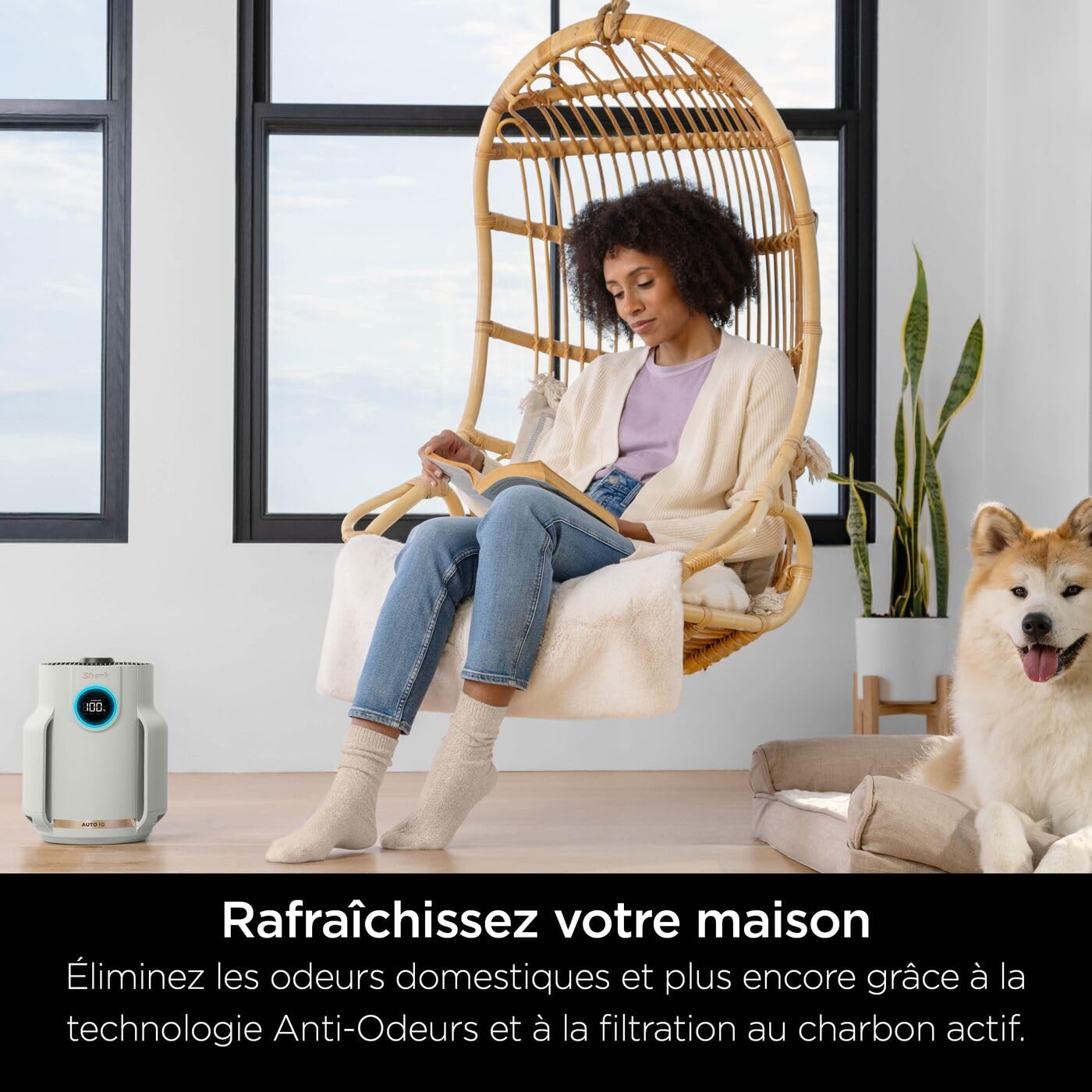 Shark NeverChange, Purificateur d’air compact pro, purificateur d'air silencieux pièces et chambres jusqu'à 23m², HEPA 99,9% aspire poussière, pollen, peaux mortes, écran LED, gris colombe, HP072EU