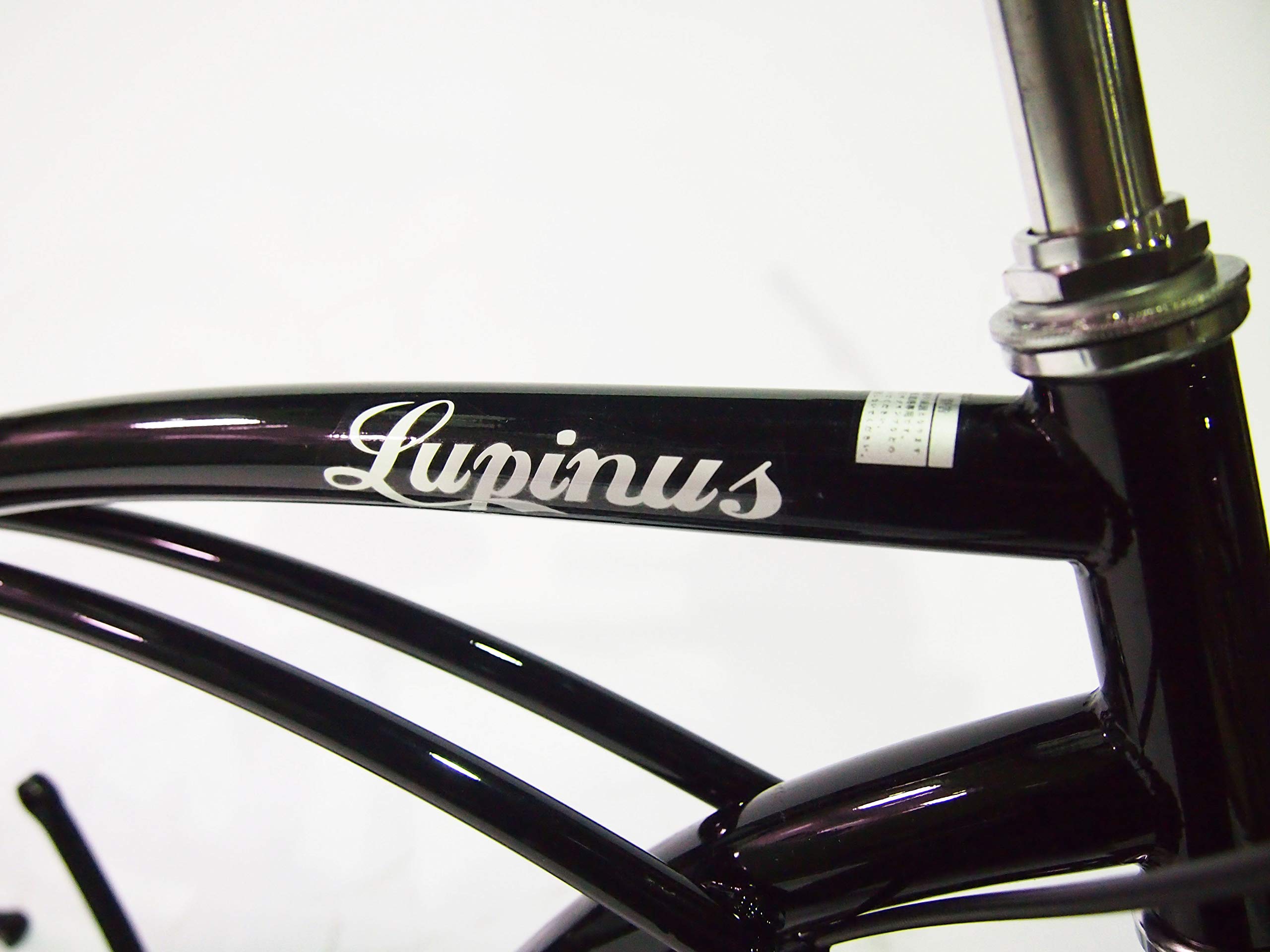 Amazon | Lupinus(ルピナス) Lupinusルピナス 24インチ ビーチ