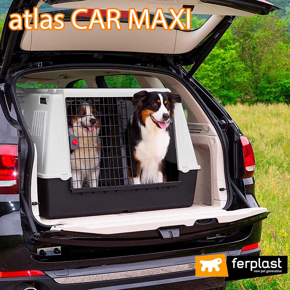 Amazon | ファープラスト アトラス CAR MAXI 大型犬用