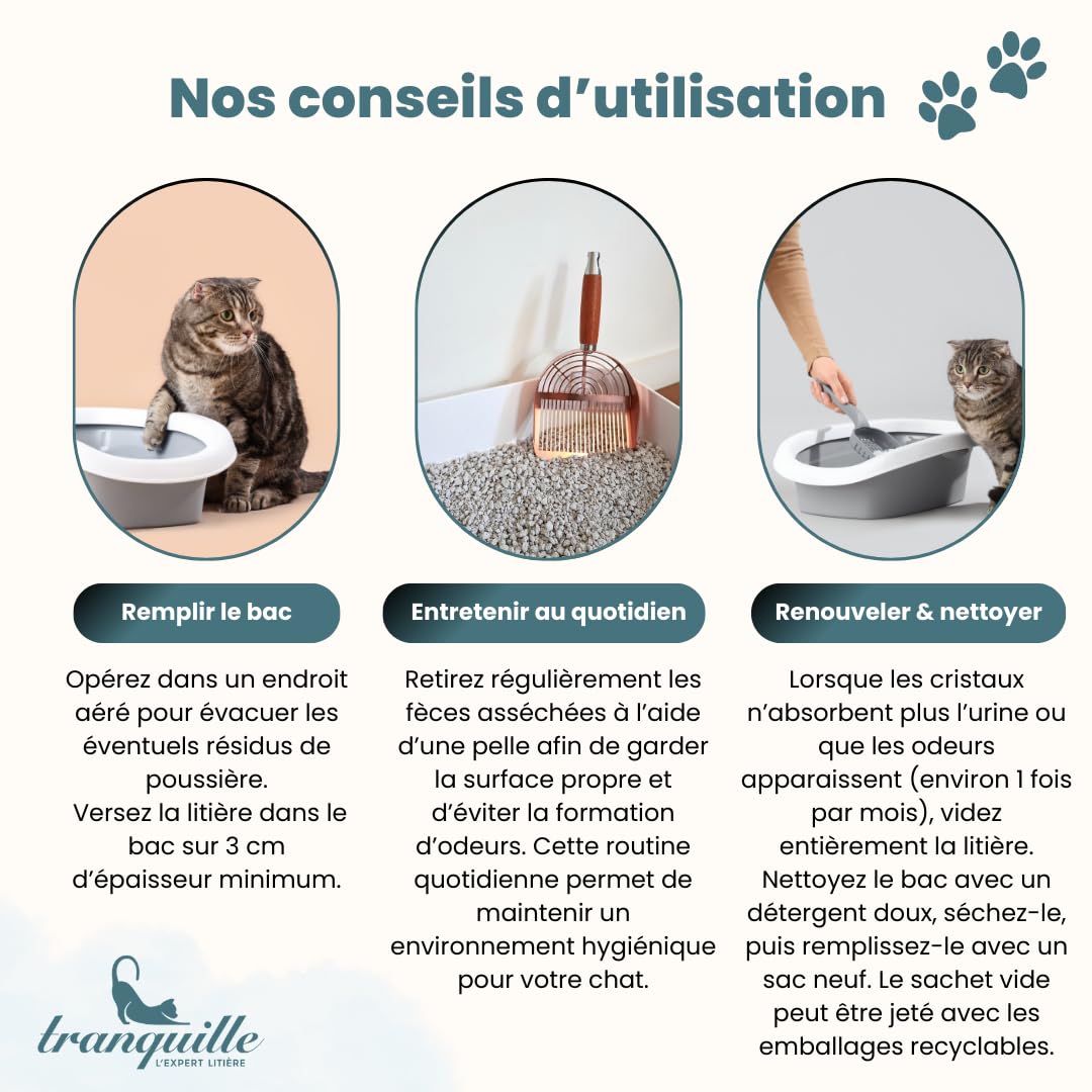 Tranquille - Litière pour Chat - Carbonite Stop Odeurs (4x5L) | Litière Agglomérante Charbon Actif Carbon Shield | Ultra Absorbante, Agglomérante & Anti-Poussière | Contrôle Odeurs