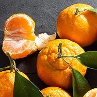 Vista 5 de Abundance Gourmet - Cesta de fruta