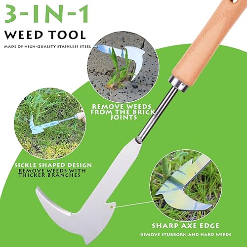 Miniatura 3 de Desbrozadora de grietas, herramienta de deshierbe de acero inoxidable de 12 pulgadas con mango de madera, espátula extractor de malezas en forma de
