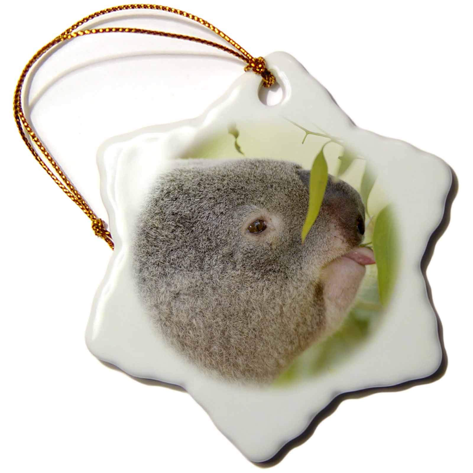 Ornement flocon koala Queensland San Diego CA US05 MPR0031 Maresa Pryor