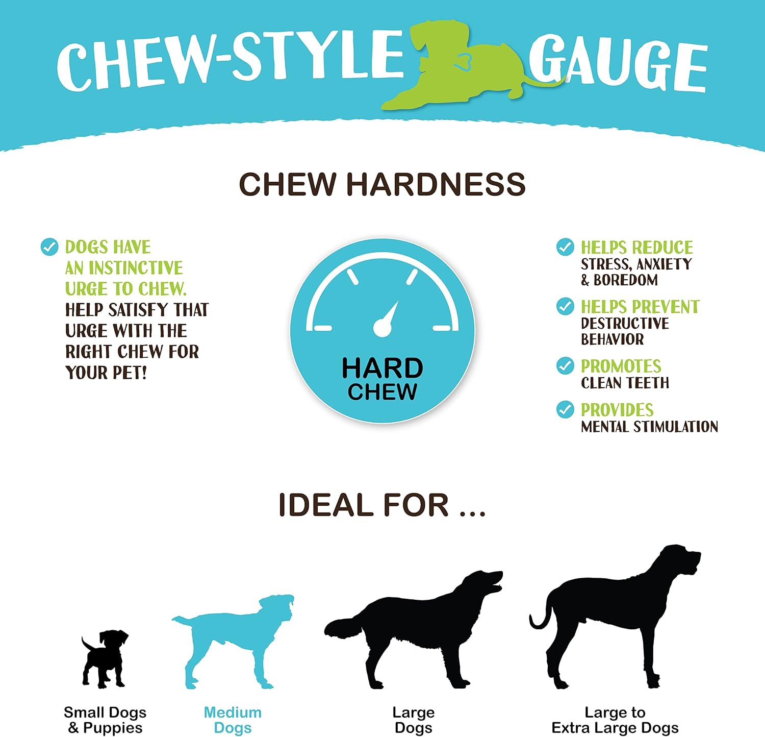 Raw Paws Pet Premium 8-inch Compressed Rawhide Bones for Dogs, 5-Count - Packed in USA - Long Lasting Dog Chews - Natural Pressed Rawhides - Large Dog Bones - Beef Hide Bones for Aggressive Chewers