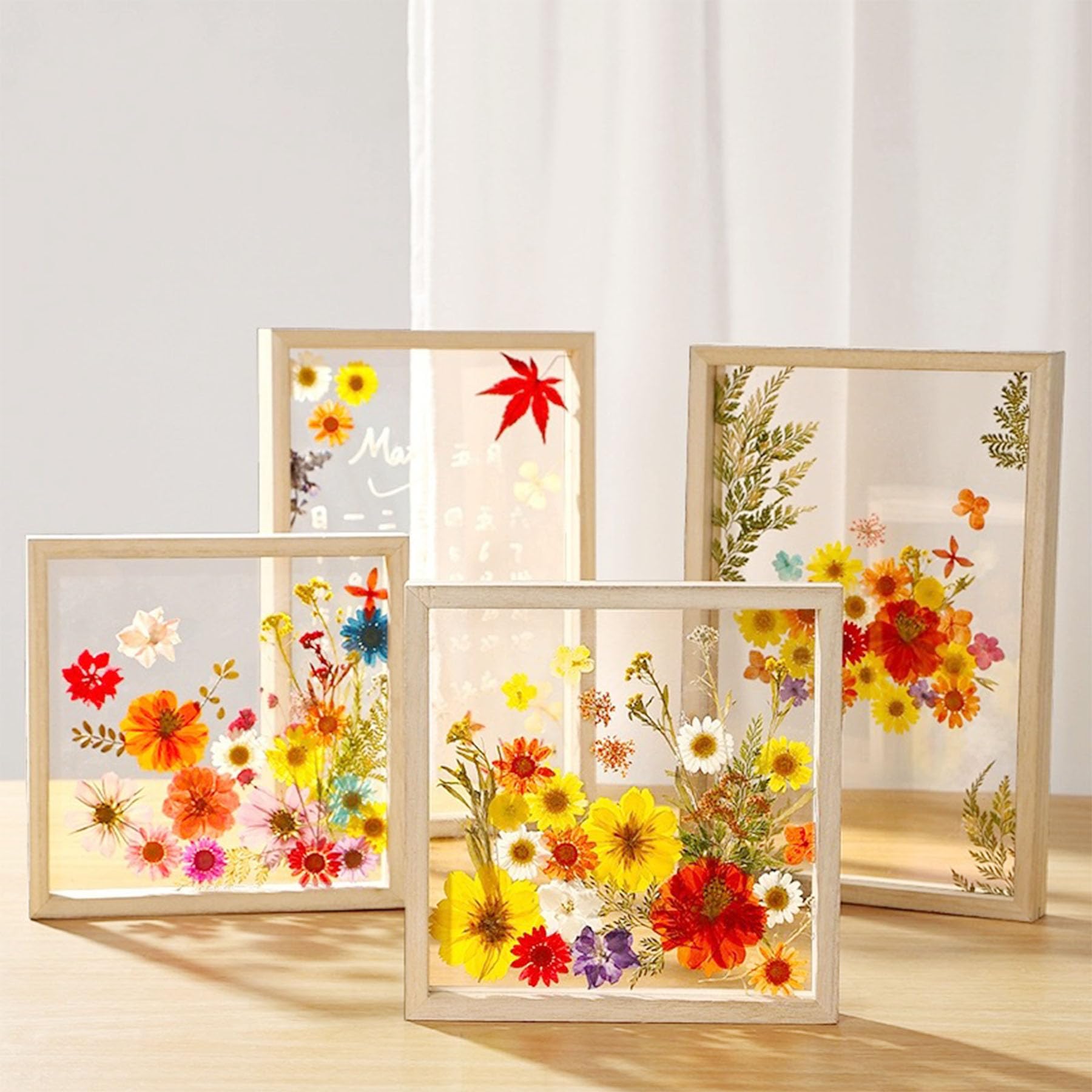 Woohome 160PCS Real Pressed Flowers - Image 2