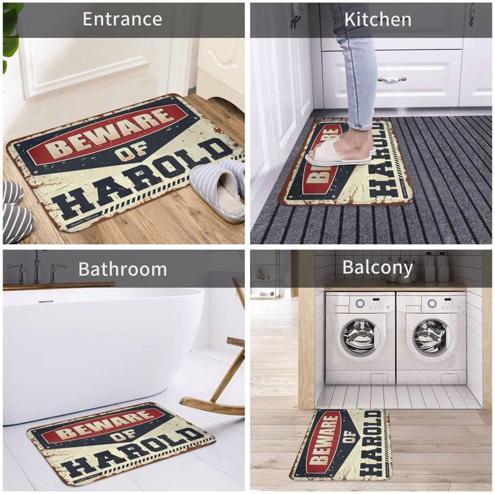 Men Cave Decor Beware of Harold Rug Door Mats for Inside Entry Winter Doormat Outdoor (Size : 65X90CM)