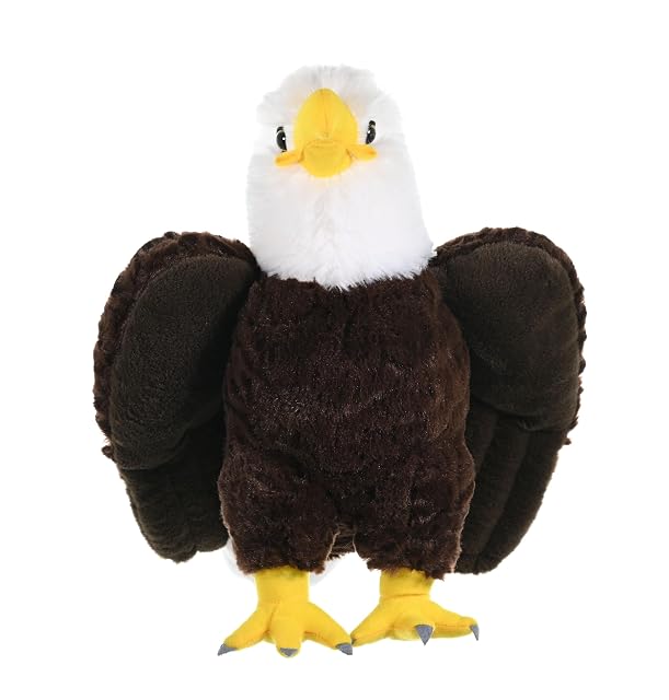 Foto 2 de 5 de Wild Republic Peluche Águila Calva Cuddlekins, 30cm