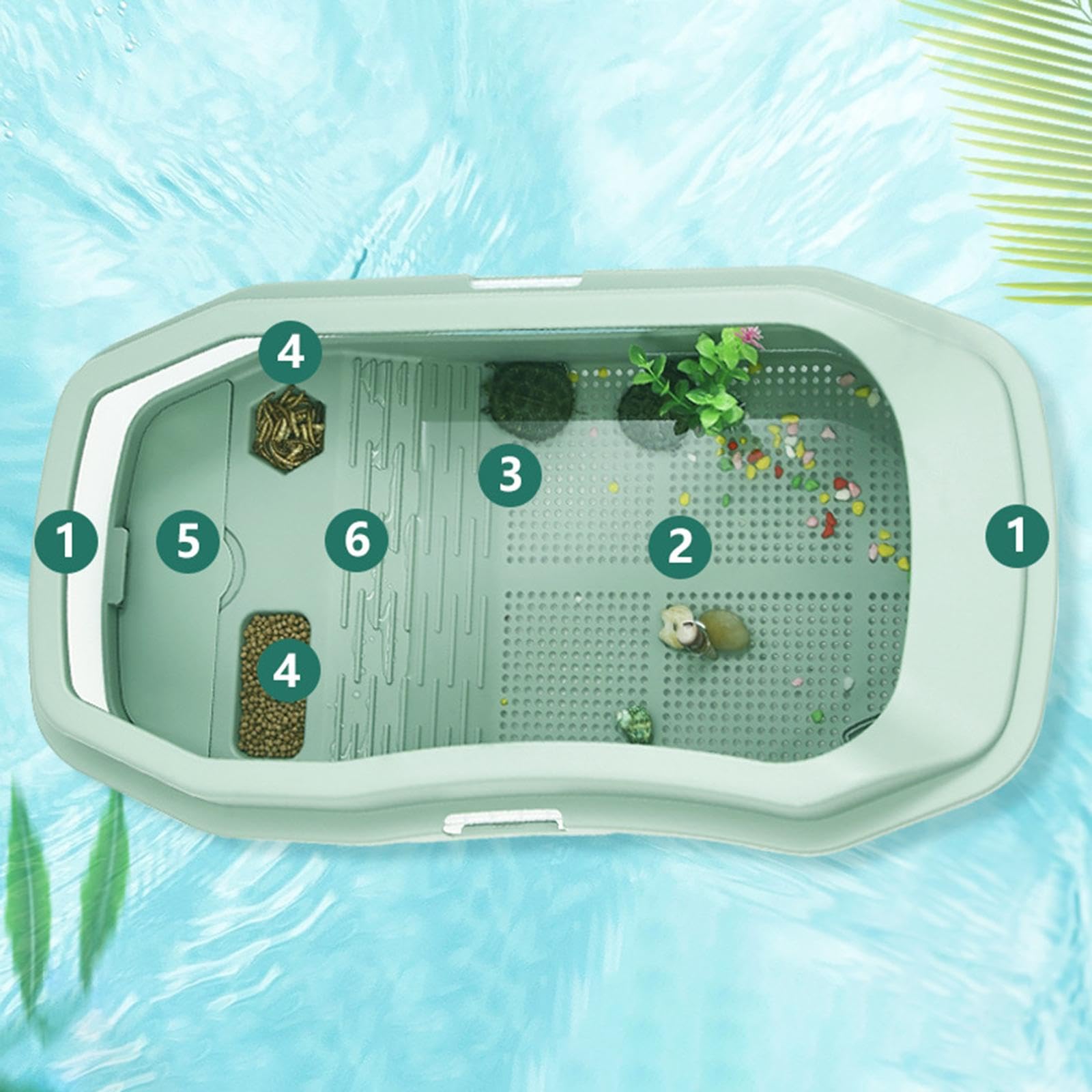 Acuario para Tortugas Hábitat de Reptiles Caja de Estanque Terraza Desmontable de Sol Resistente Material Adecuado para el Cuidado de, Verde, Individual
