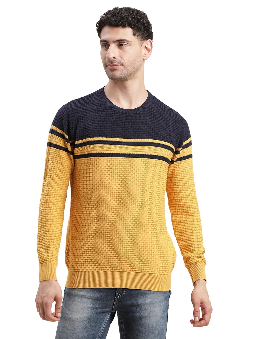 turtle Men’s Knitted Stripes Regular Fit Full Sleeve Multicolor Pullover – Soft & Stylish Casual Sweater for Men || Warm Knit with Trendy Stripe Pattern for Everyday Wear-picture-14