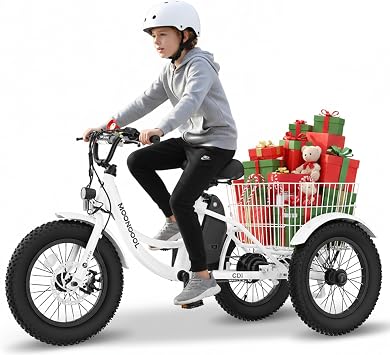 MOONCOOL 16 Inch Electric Tricycle, Youth Electric Trike, 250W 3 Wheel Bike