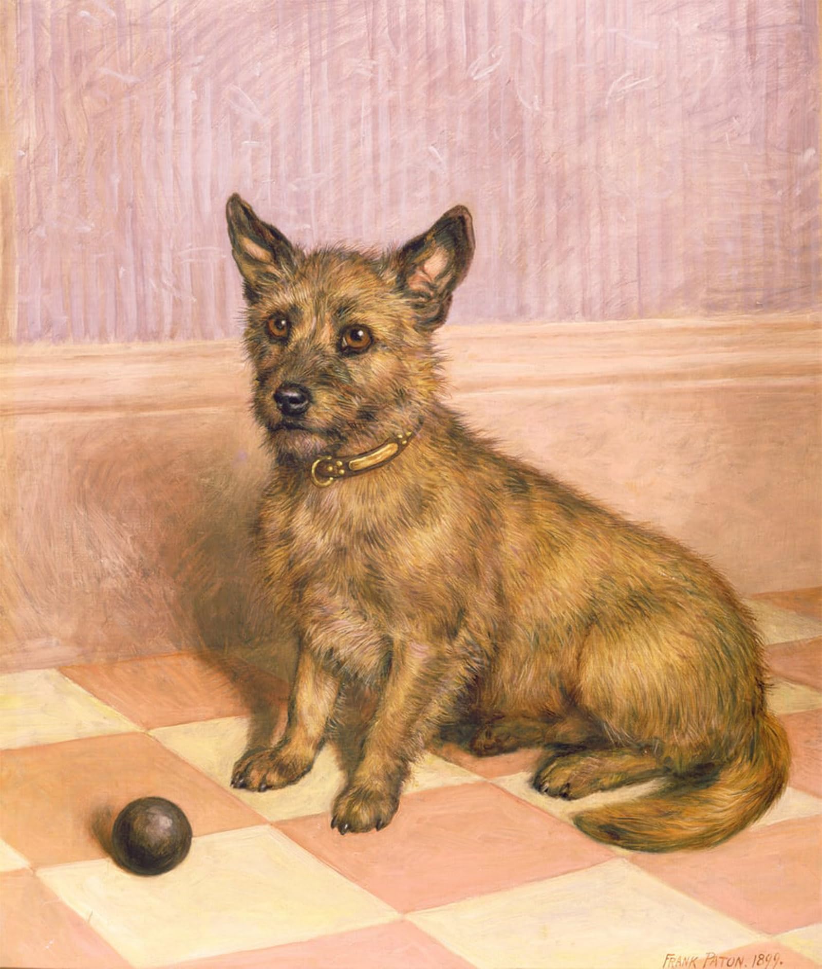 SERENDIPITP Vintage Wall Art Canvas Nordic Poster Canvas Print Picture Waiting to Play a Cairn Terrier with a Ball by Frank Paton Wall Art Poster for Home Decor 60x90cm