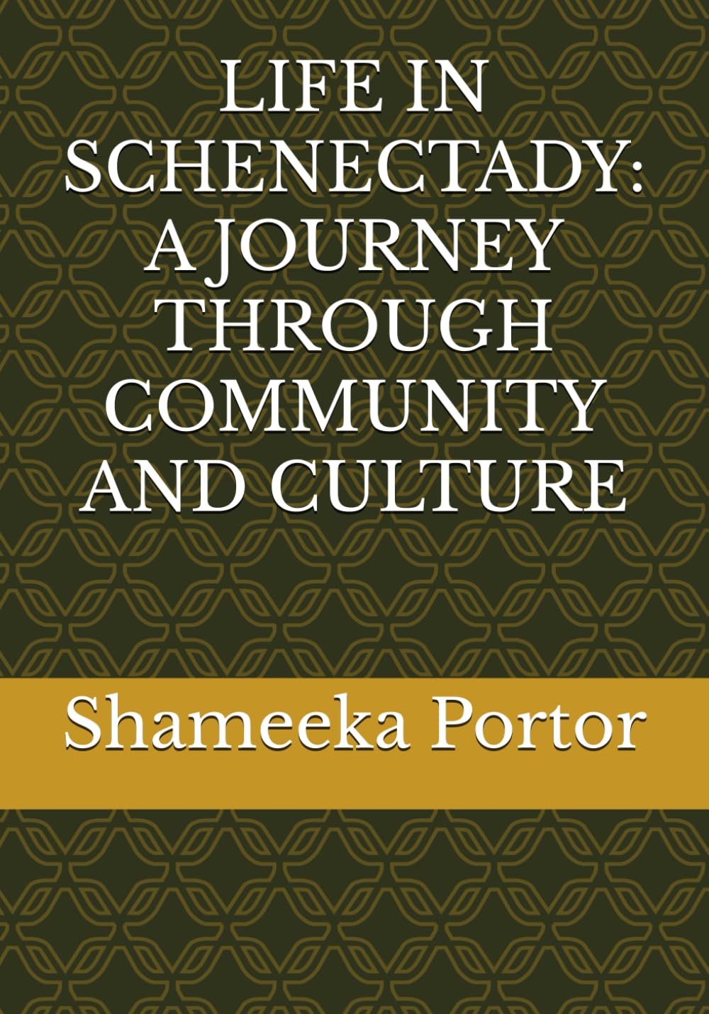 LIFE IN SCHENECTADY: A JOURNEY THROUGH COMMUNITY AND CULTURE