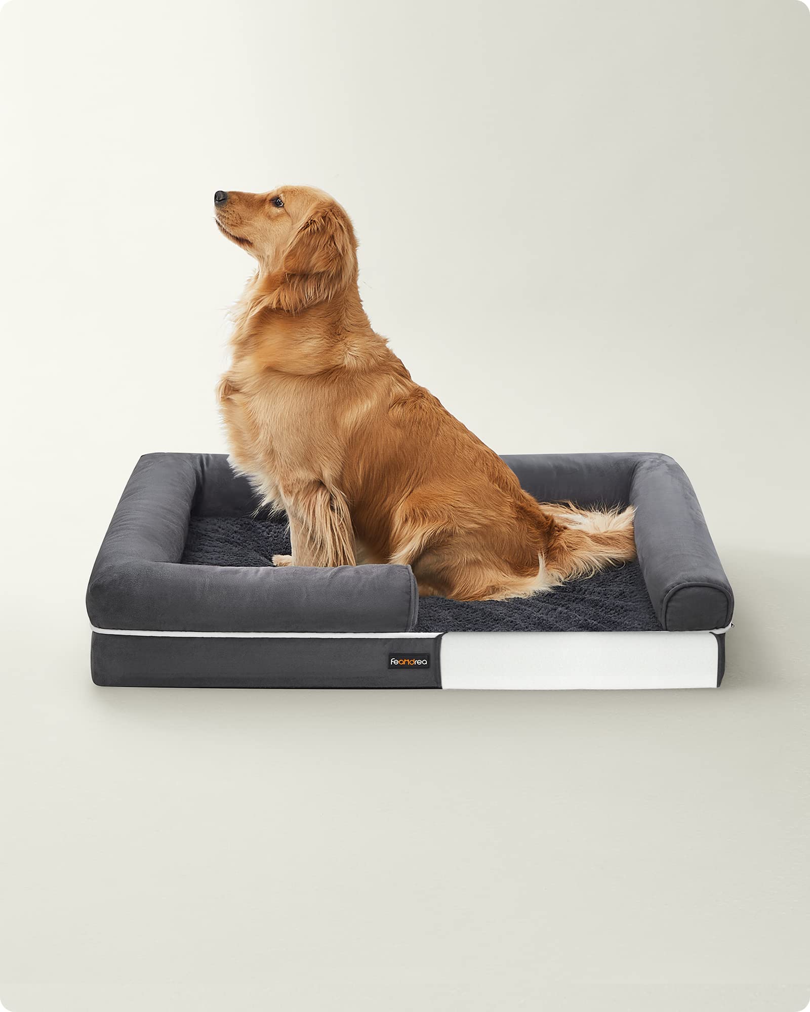 Feandrea Cuccia per Cani Ortopedica, Letto Divano per Animali, Imbottitura Morbida, Bordi Rialzati, Copertura Sfoderabile e Lavabile, 106 x 80 x 20 cm, Fondo Antiscivolo, Grigio Scuro PGW077G01