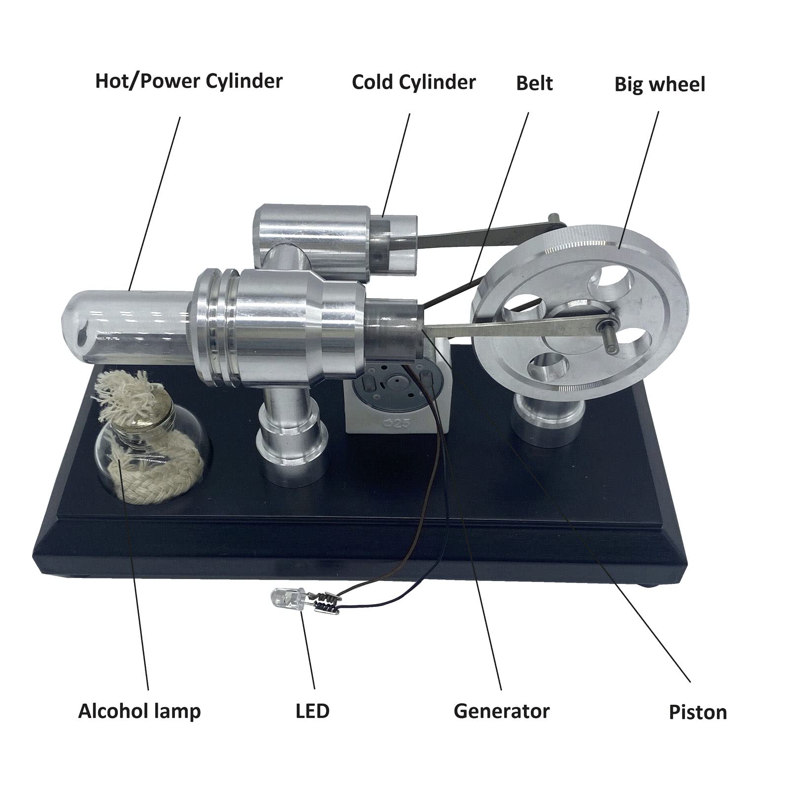 Modello Motore Stirling Engine Design Raffinato con LED Multicolori per Progetti di Scienze Educative Acciaio Inossidabile 1 unità