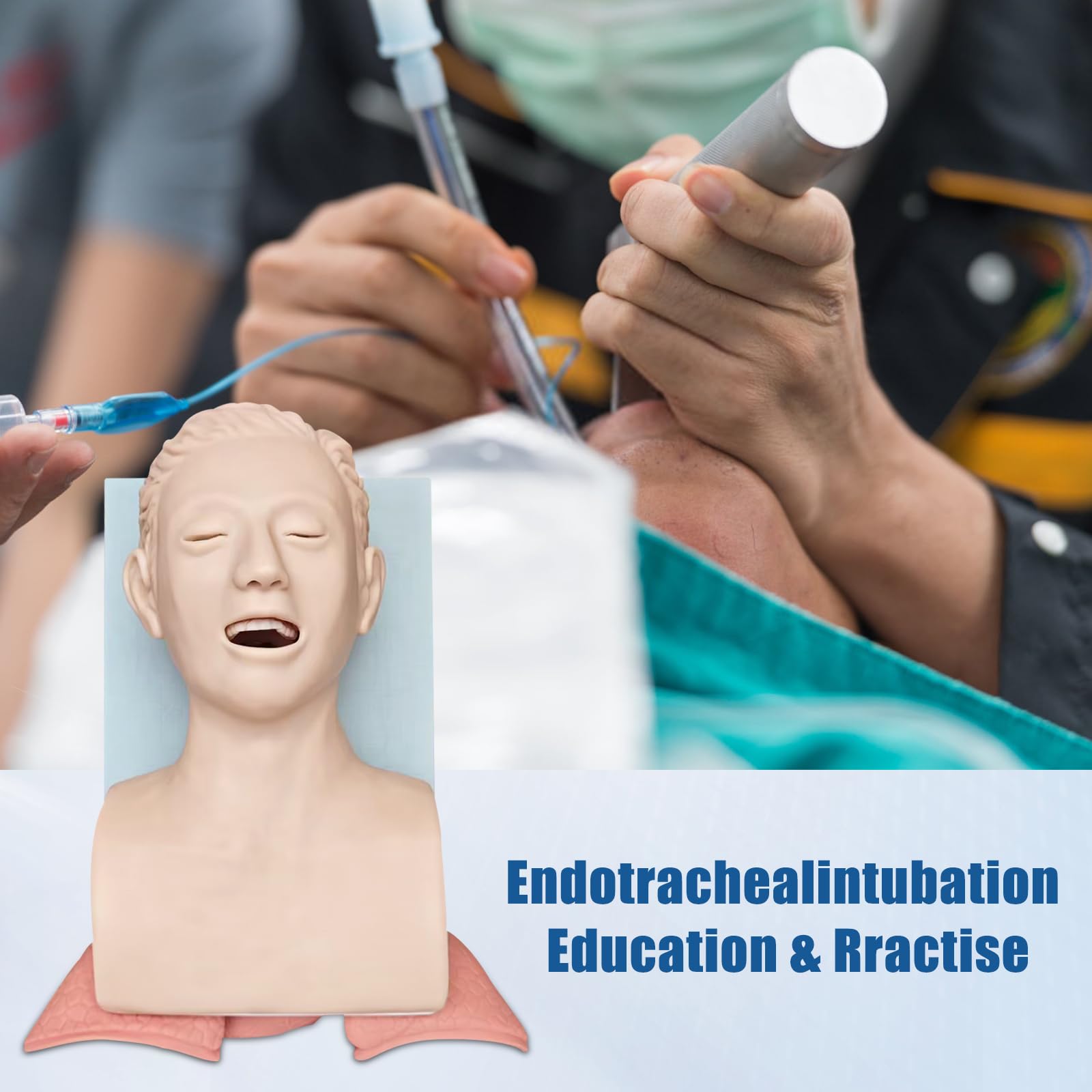 Manichino per Intubazione,modello educativo di gestione delle vie respiratorie per adulti, per la formazione in laboratorio scientifico (adulti)