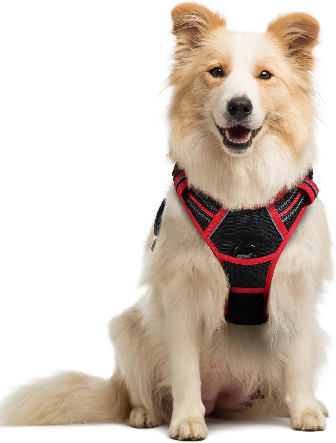rabbitgoo Dog Harness No Pull with 2 Leash Clips, Adjustable Soft Padded, Reflective Oxford No Choke Pet Vest with Easy Control Handle for Medium Sized Dogs, Black & Red, M Medium Black & Red