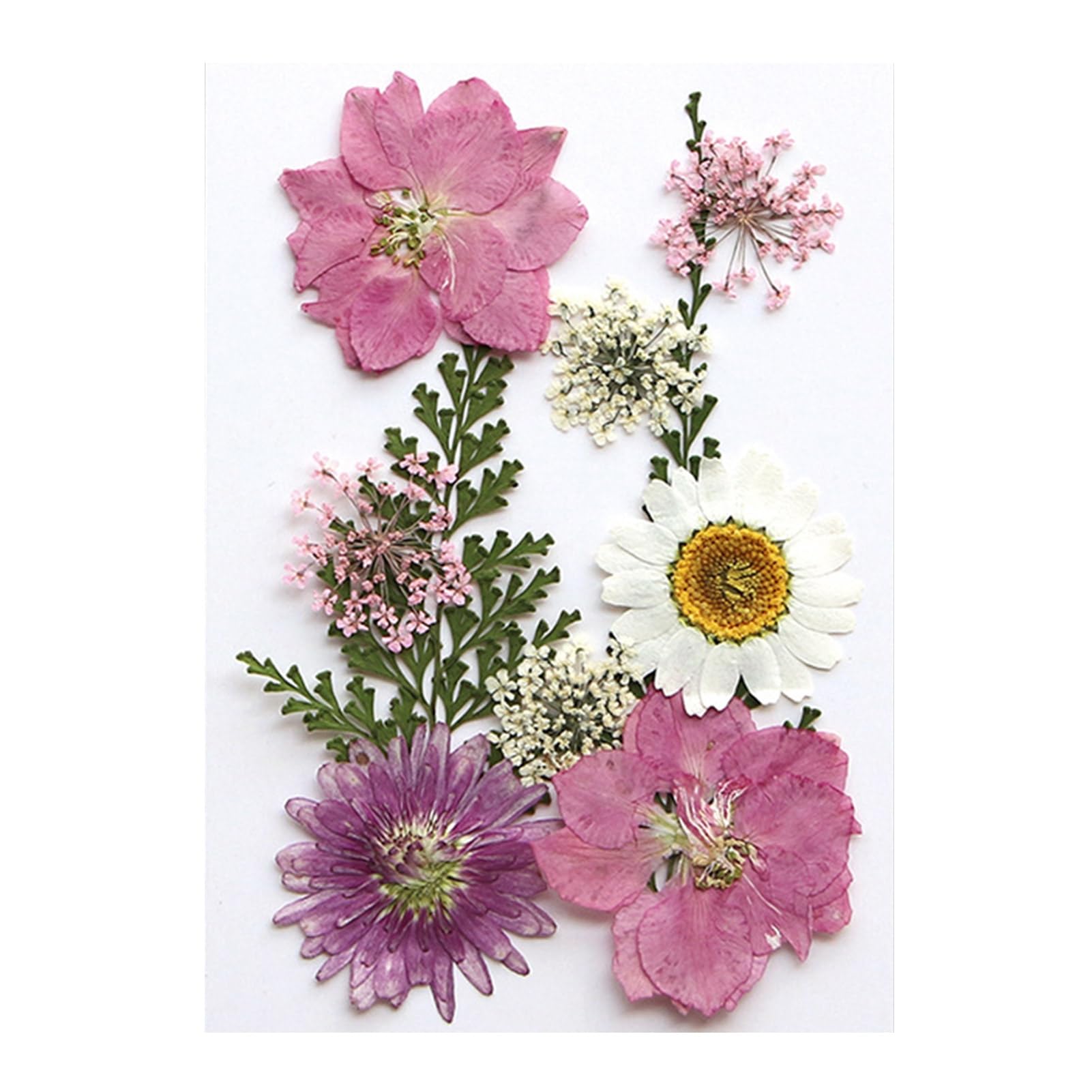 Hshduti Dark Pink 10 Pcs Dried Pressed Flowers For Resin, Real Pressed Flowers Dry Leaves Bulk Natural Herbs Kit For Scrapbooking Diy Art Crafts, Epoxy Resin Jewelry Molds, Candle, Soap Making, Nails Décor