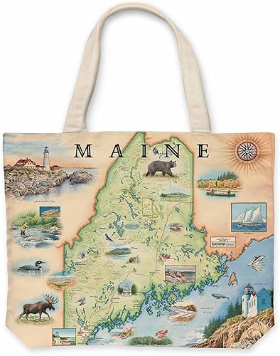 Vista 48 de Bolsa de lona con asas, bolsa de compras de comestibles de tela, bolsa reutilizable y ecológica, 100% algodón, lavable