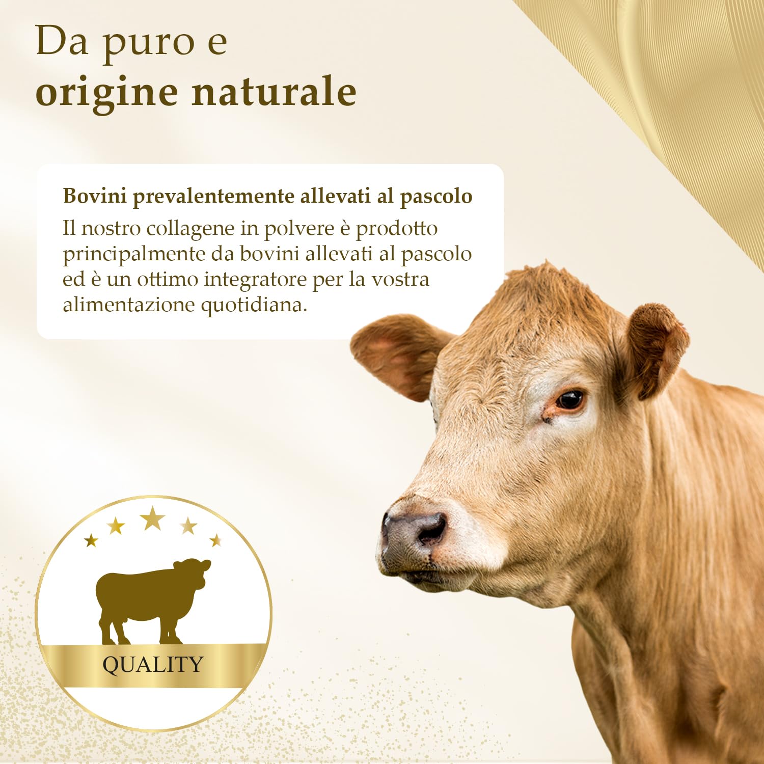 Collagene in polvere 700g | Idrolizzato di collagene puro al 100% | Peptidi 1-2 - 3 | Eccellente solubilità | 100% puro e originale | Senza additivi | Sapore neutro