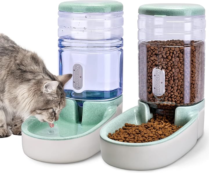 Transparent editorial object representing Lifestyle