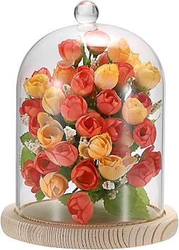 JUXYES زجاج عرض قبة كلوش مع قاعدة الخشب، واضح زجاج قبة كلوش جرس المجال جرة سنو غلوب كيت، سنوجلوب كلوش جرس جرة عرض للأشكال مصنع ضوء الجنية تحصيلها