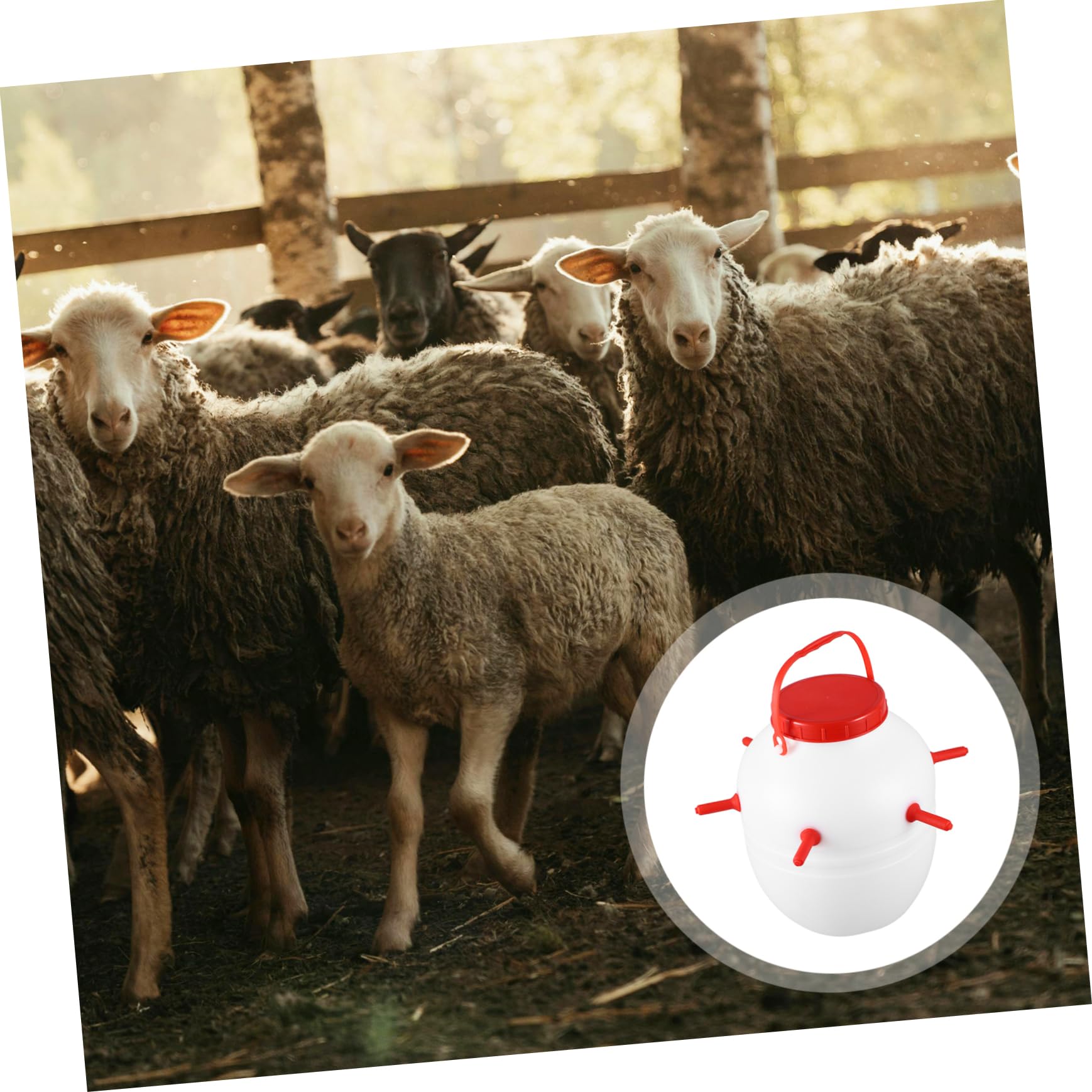 Hohopeti Lamb Feeding Bottle Thickened Plastic Silicone Feeder with Nipples for Sheep Goat Pig Dog High Temperature Resistant Losowy Kolor