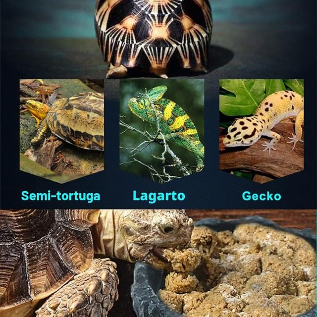 Foto 8 de 8 de 2 Piezas Comedero para Reptiles, Cuenco de Comida de Roca, Alimentador de Reptiles