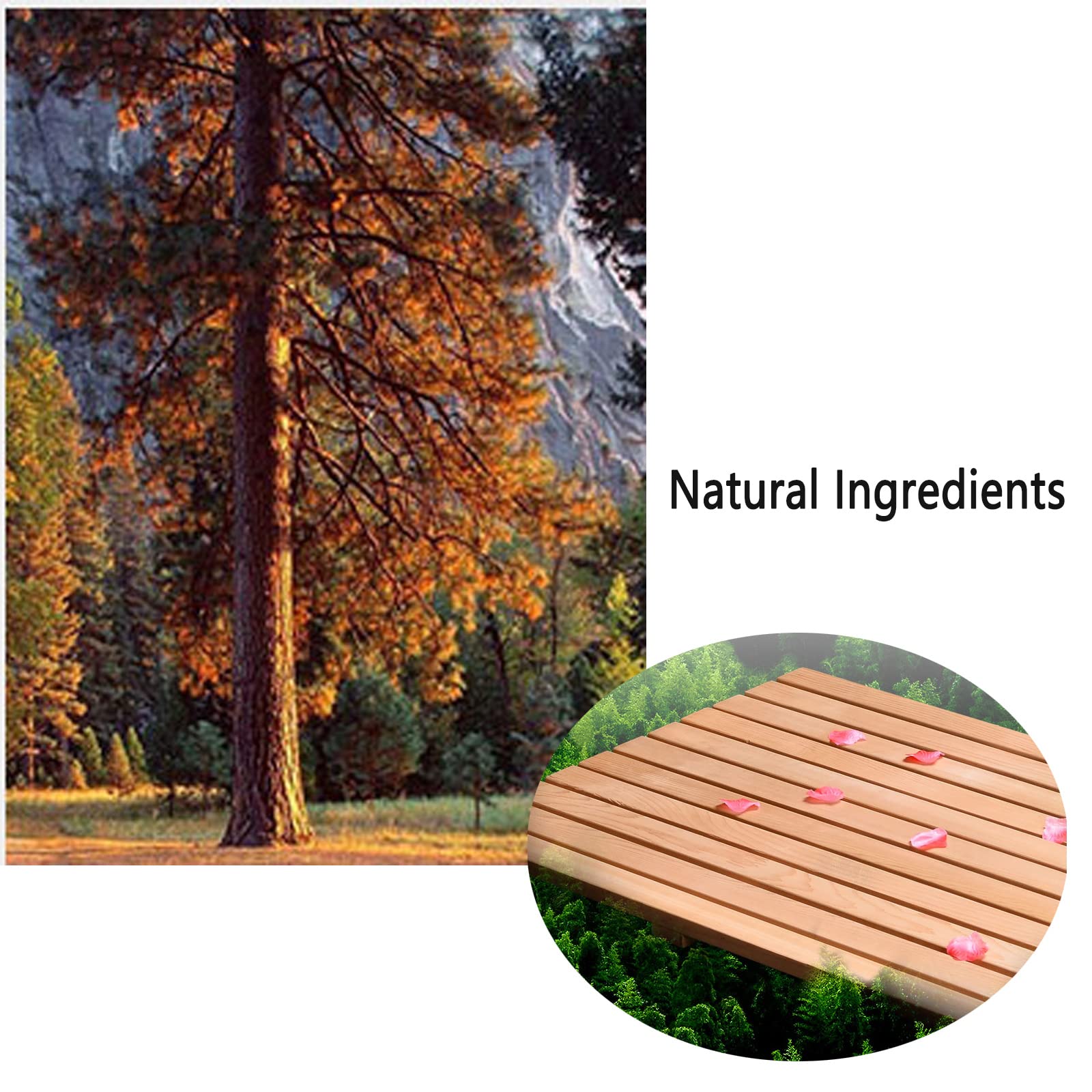 Caillebotis Douche Bois Massif 40x30cm - Tapis Antidérapant Naturel Pour Salle De Bain