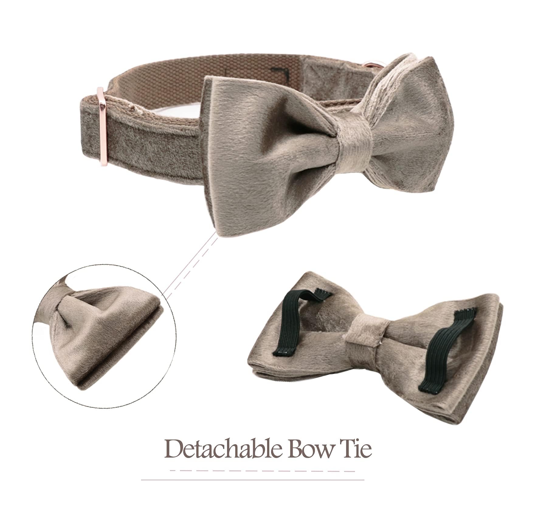 ARING PET Velvet Dog Collar-Velvet Bowtie Dog Collars - Image 2