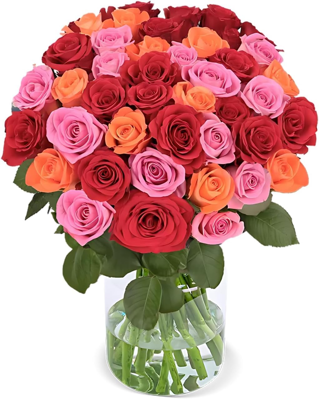 Blume Ideal Rosenstrauß - Rosen in verschiedenen Farben und Mengen - Ø 40–50 cm - Echte premium Blumen für Hochzeit & Deko - 7 Tage Frischegarantie