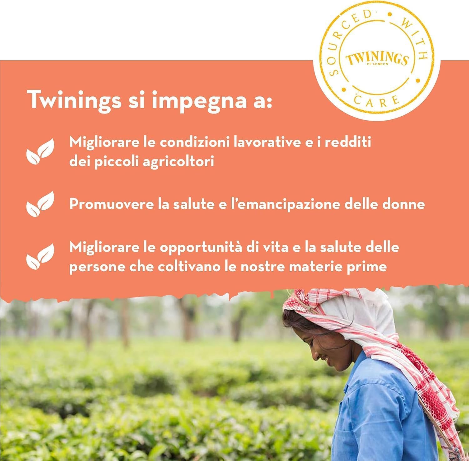 Italian Gourmet Schwarztee Earl Grey 12er Pack, 12 x 25 Teebeutel (je 50 g), aromatisierter schwarzer Tee mit Bergamotte, ideal für Büro & Vorrat + Italian Gourmet Polpa