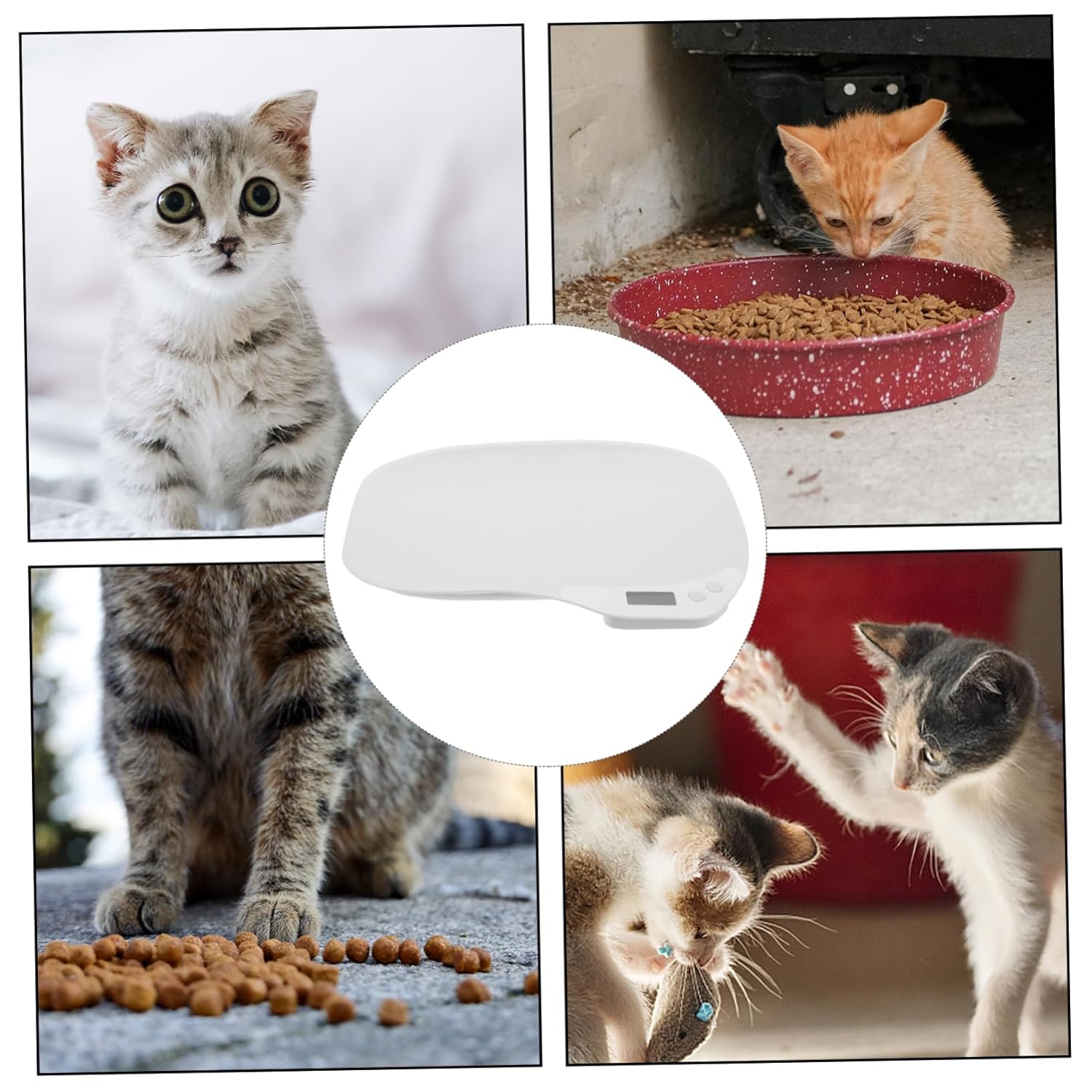 FRCOLOR Digital Electronic Pet Scale with LED Display High Precision Lightweight Kitten and Puppy Weighing Scale for Food and Animals