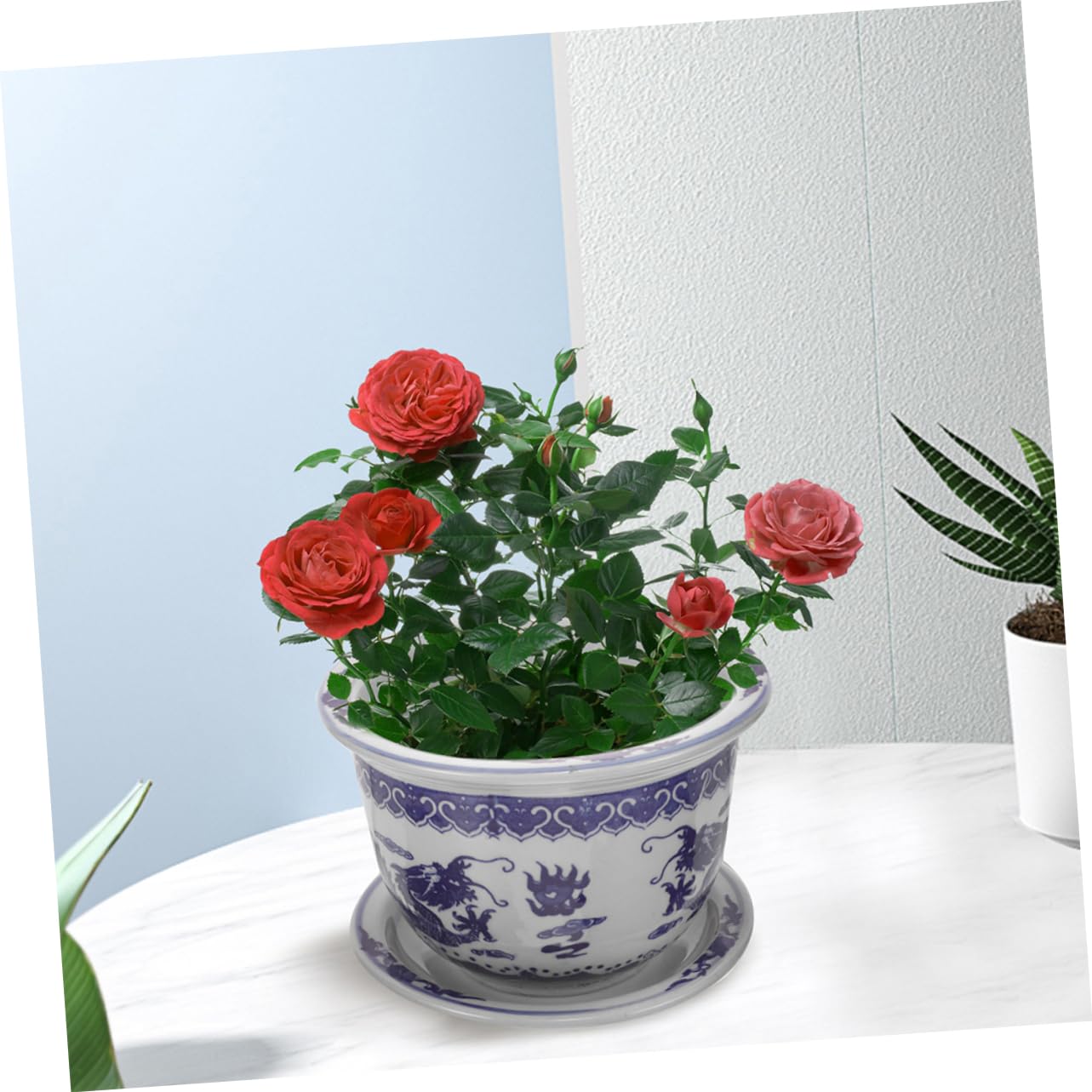 Fioriera Ceramica Decorativa Per Piante Grasse Vaso Ceramica Per Piccole Succulente Con Vassoio Design Nordic Per Casa e Ufficio