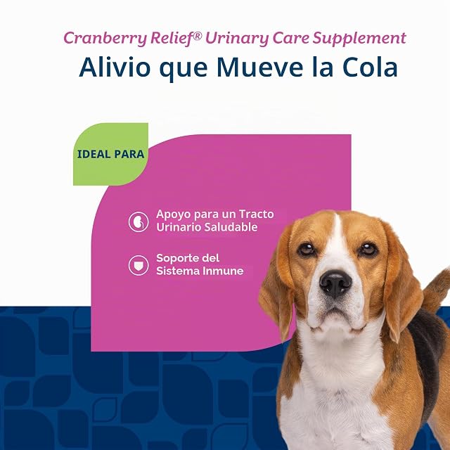 Foto 4 de 7 de NaturVet ALIVIO DE ARÁNDANOS + Echinacea Tracto Urinario Perros (CUP) 60 Piezas