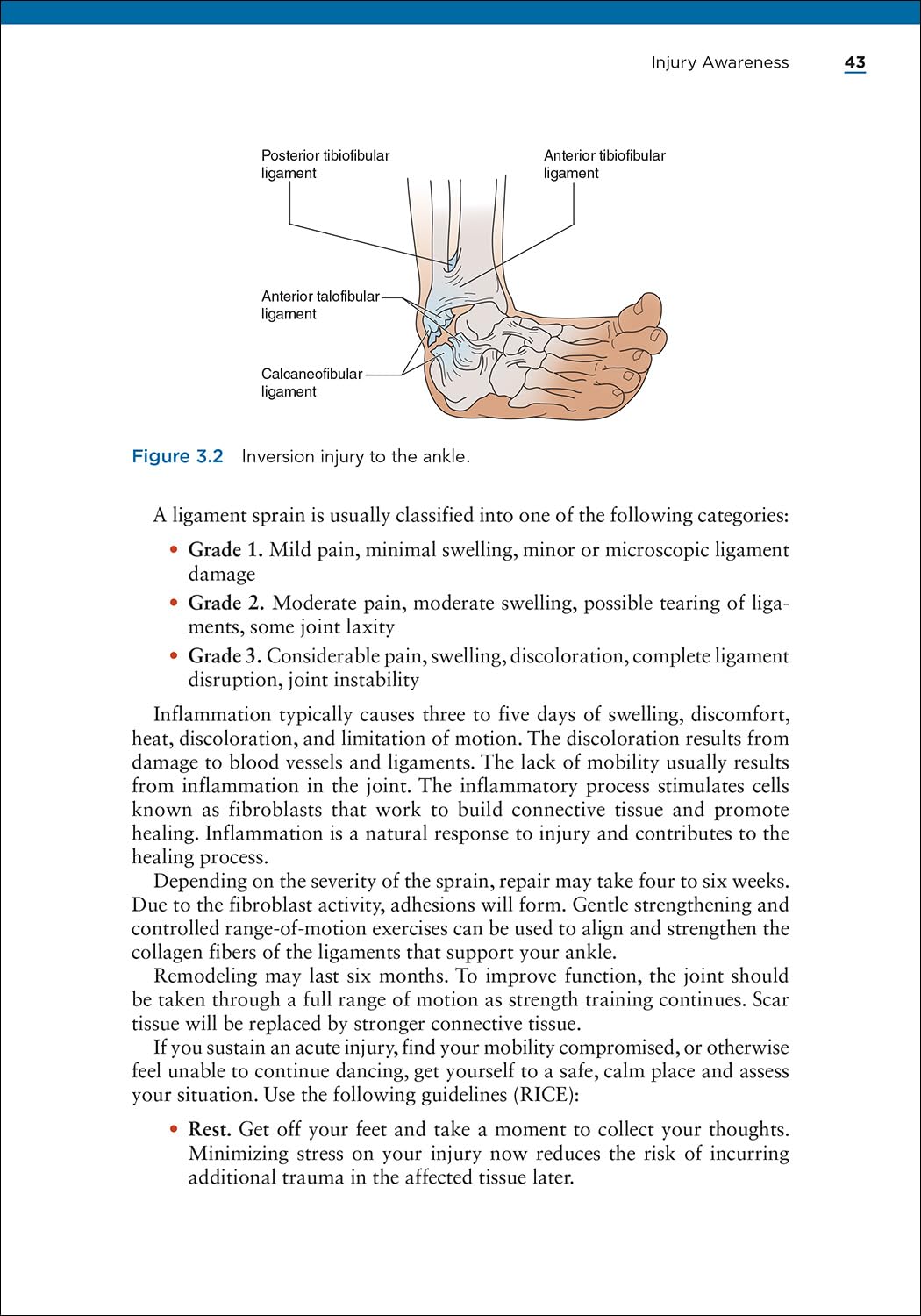 Dance Anatomy