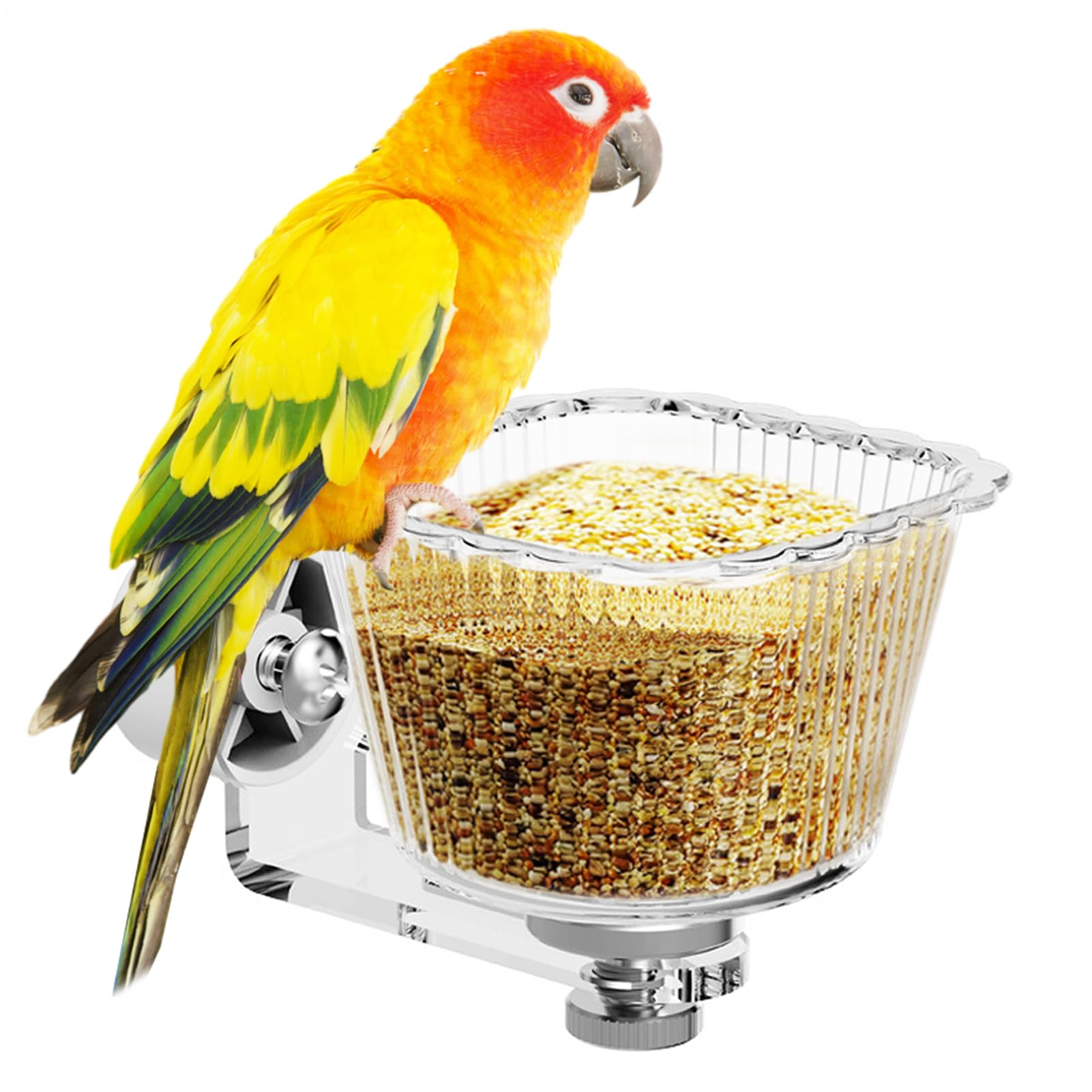 Amazon | 小鳥用フィーダー | フィンチの餌皿 - 鳥用フードディッシュ