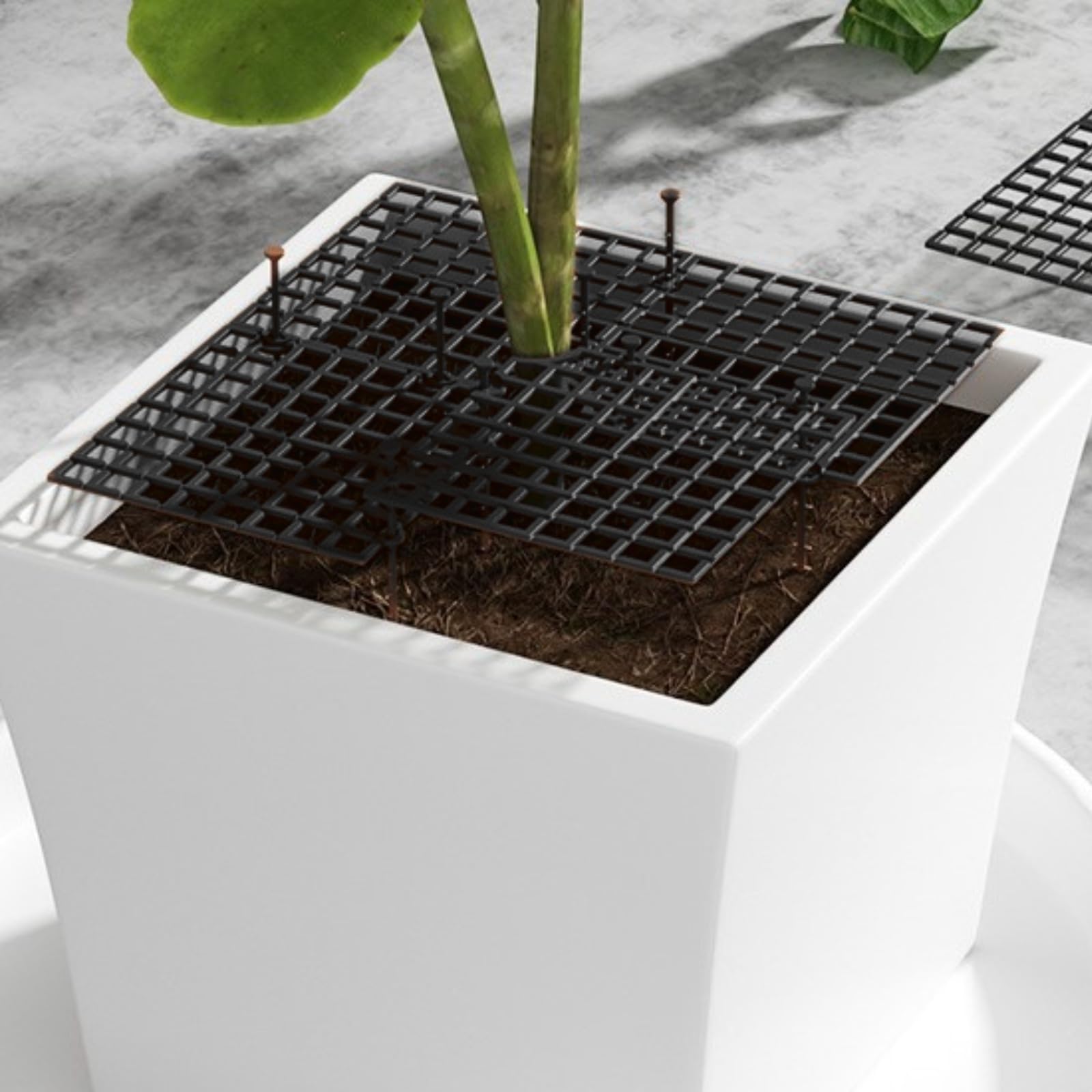 Grille de Protection pour Pot de Fleurs, Cache Pot de Fleurs en Grille Noire Rond 30 cm, Découpable, Protège Plantes pour Chat, Chien, Bébé, Enfant, Animaux (carré, 30cm)