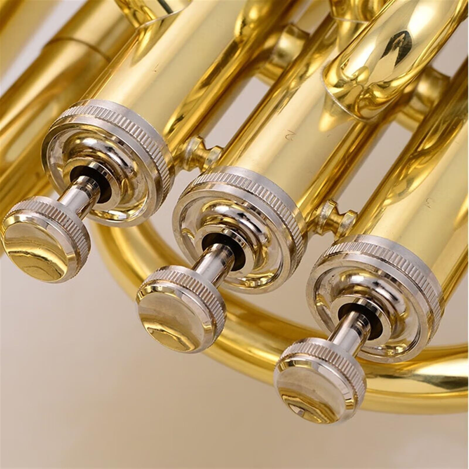 3+1-Tasten-kompensiertes Euphonium-Halterungsinstrument Mit Goldfarben Lackiertem Messingrohrkörper Und Aufbewahrungskoffer Euphonium-Bausatz