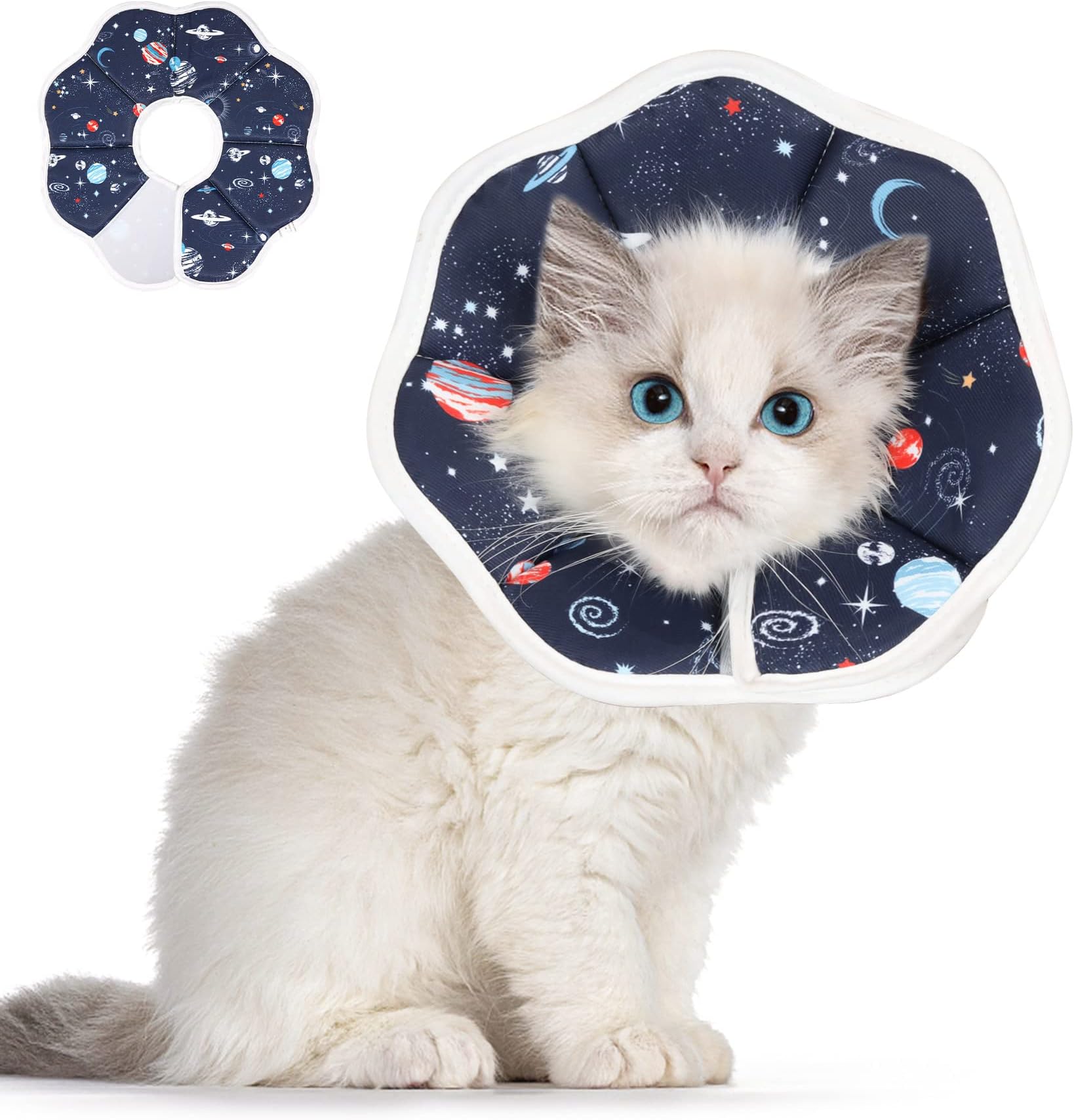 Verwunderlich Halskragen Katze Fressnapf Fotos