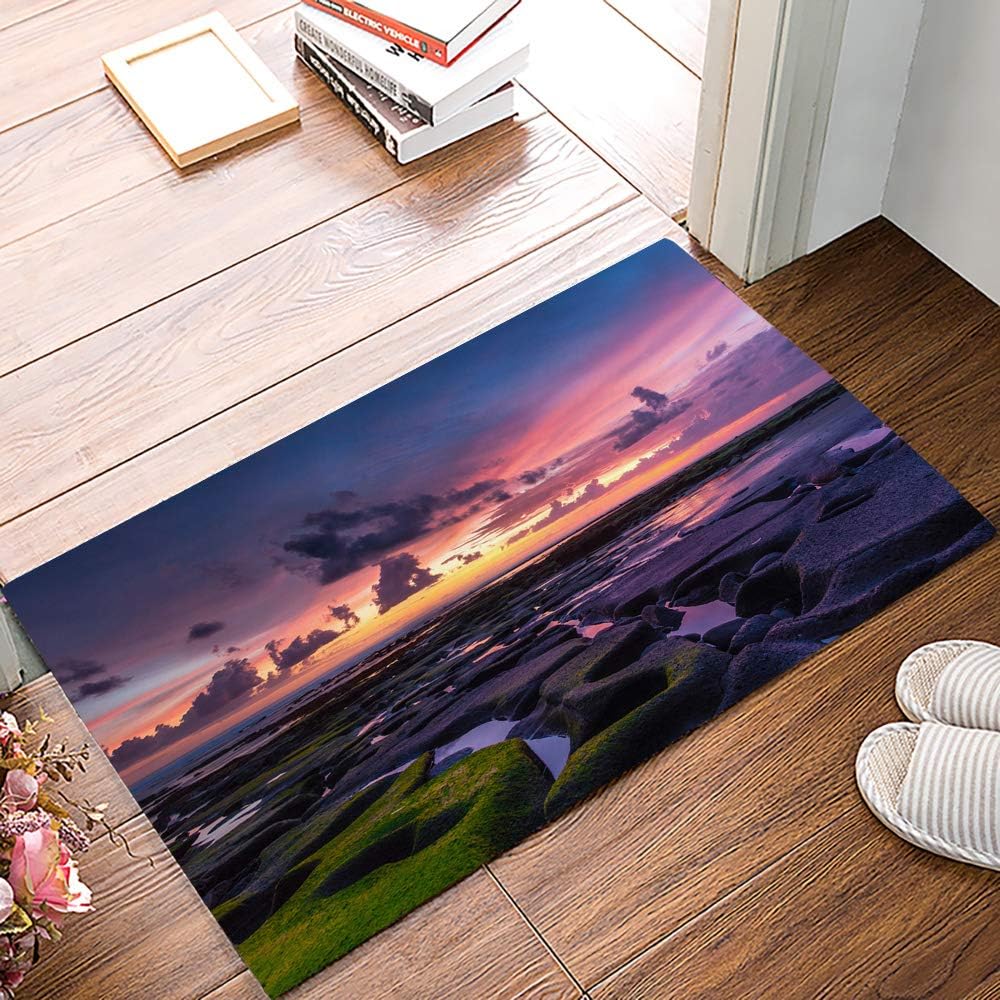 Indoor Doormat Super Absorb Water Machine Washable Non Slip Entrance Rug for Front