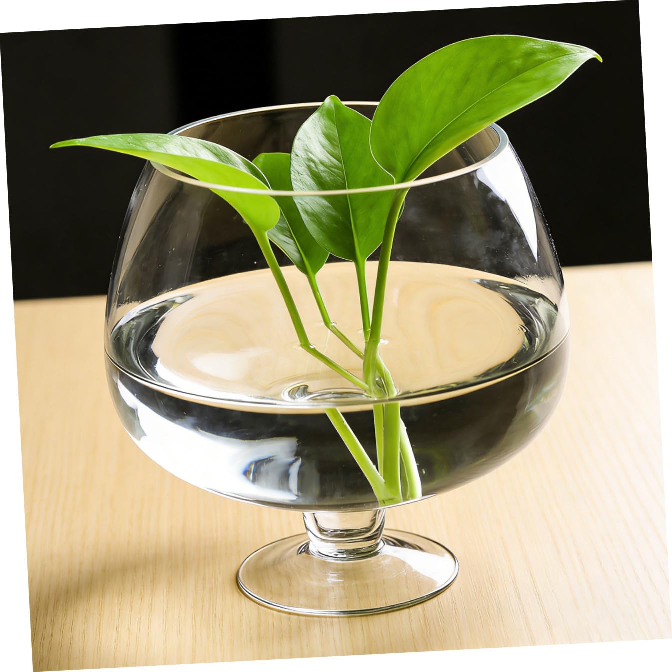 Homoyoyo Acquario Multifunzione in Vetro Trasparente per Pesci Rossi Betta, Vaso Decorativo da Scrivania per Ufficio e Casa, Acquario Decorativo Ecologico 19x19 Cm