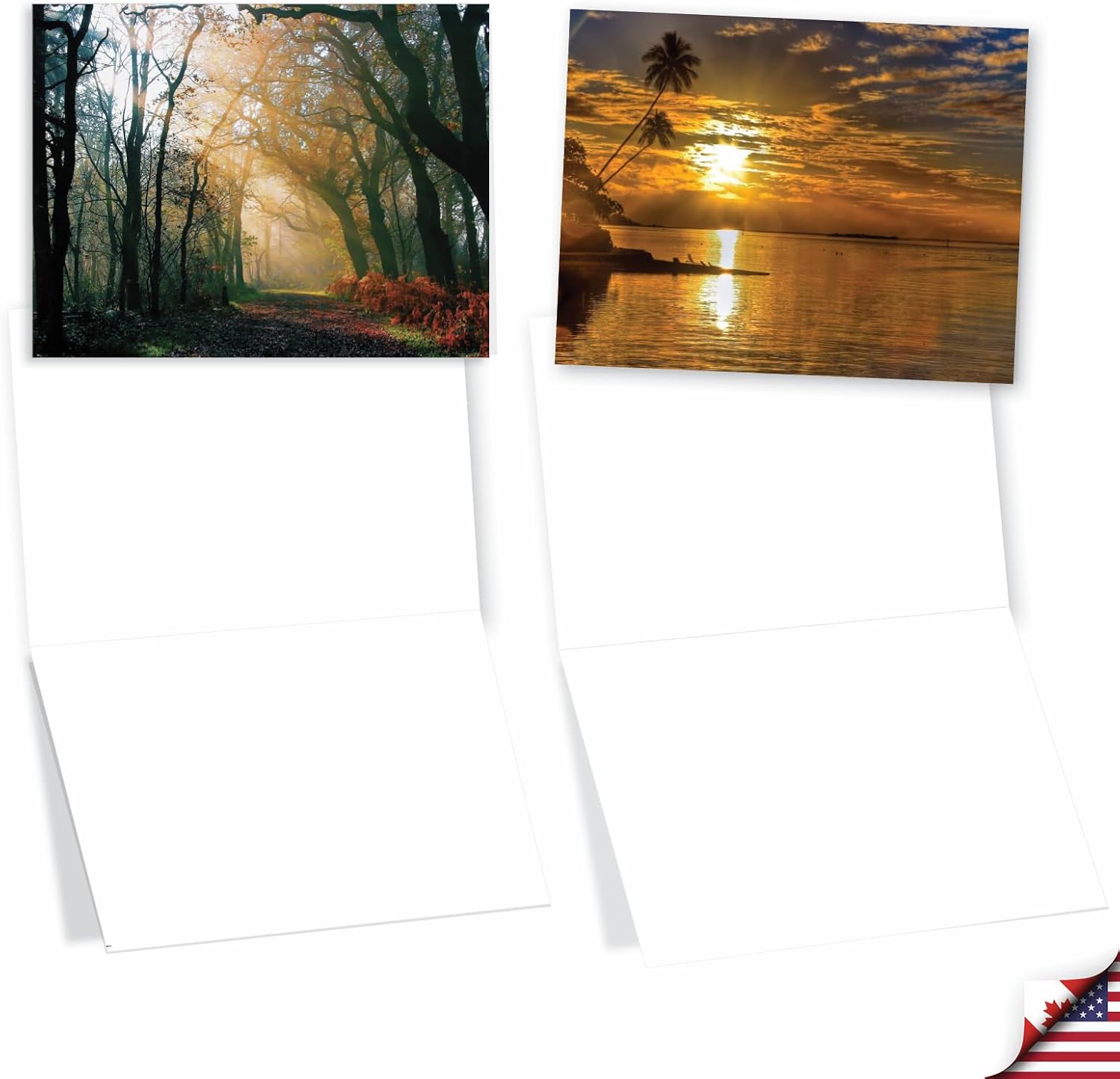 The Best Card Company 36 Assorted Blank All Occasions Notecards Bulk Set 4 x 5.12 w/Envelopes for Men Women (6x6 Designs) Scenic Views AM7770OCB-B6x6