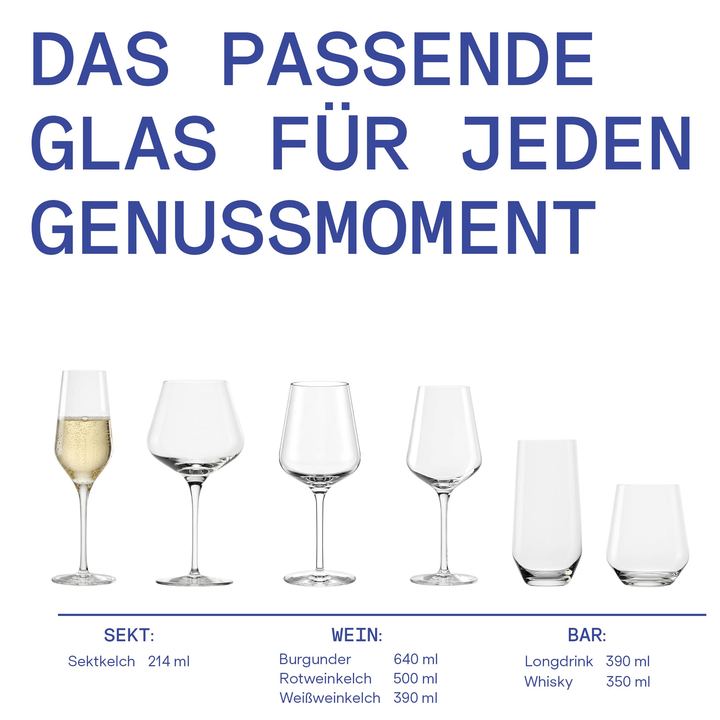 Stölzle Lausitz Oberglas Champagnergläser PASSION 6er-Set 248 ml – Edle Champagnerkelche ideal für Sekt & Prosecco – Hochwertige Sektgläser aus bleifreiem Kristallglas – Spülmaschinengeeignet