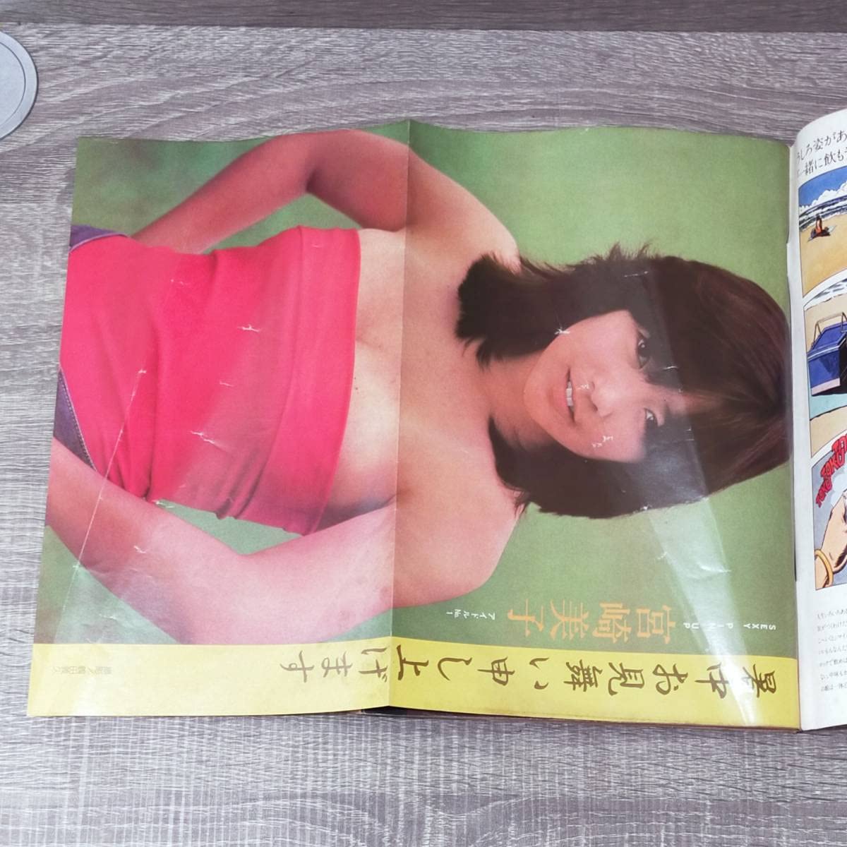 Amazon.co.jp: 週刊誌 プレイボーイ 1980年 7月22日 昭和55年