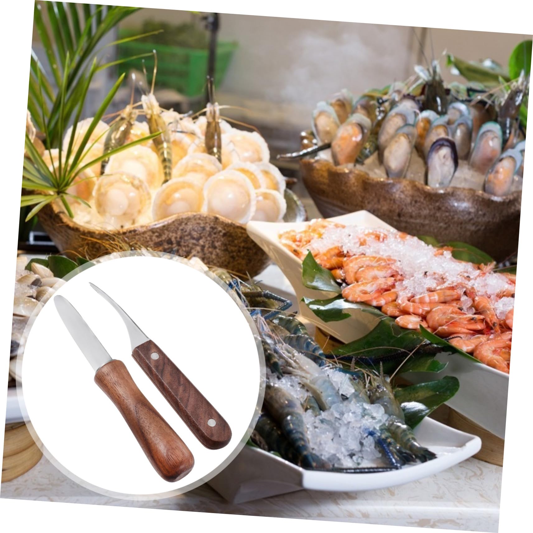 TOYANDONA 2 Piezas Cuchillos de Acero Inoxidable para Abrir Ostras y Limpiar Gambas Herramientas Ergonómicas para Mariscos con Mango de Madera Resistente y Fácil de Usar