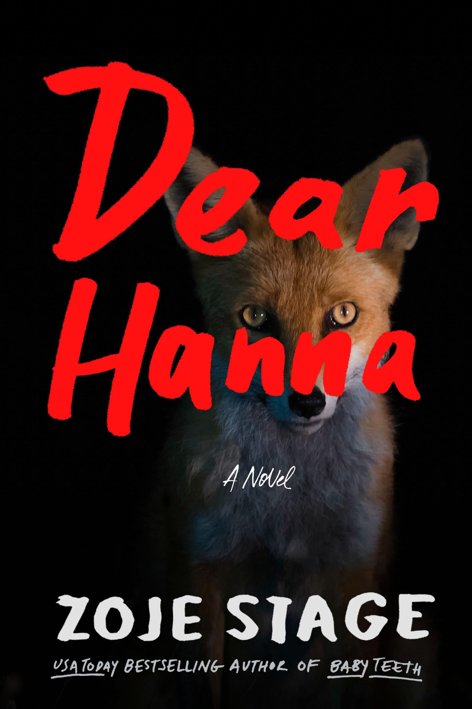 Dear Hanna A Novel by Zoje Stage (Hardback Book)